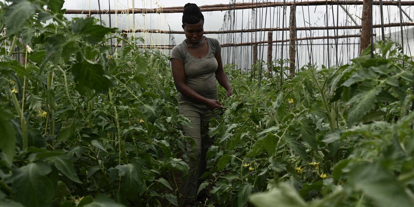 KENYA-SLUM-RECYCLIING-POO